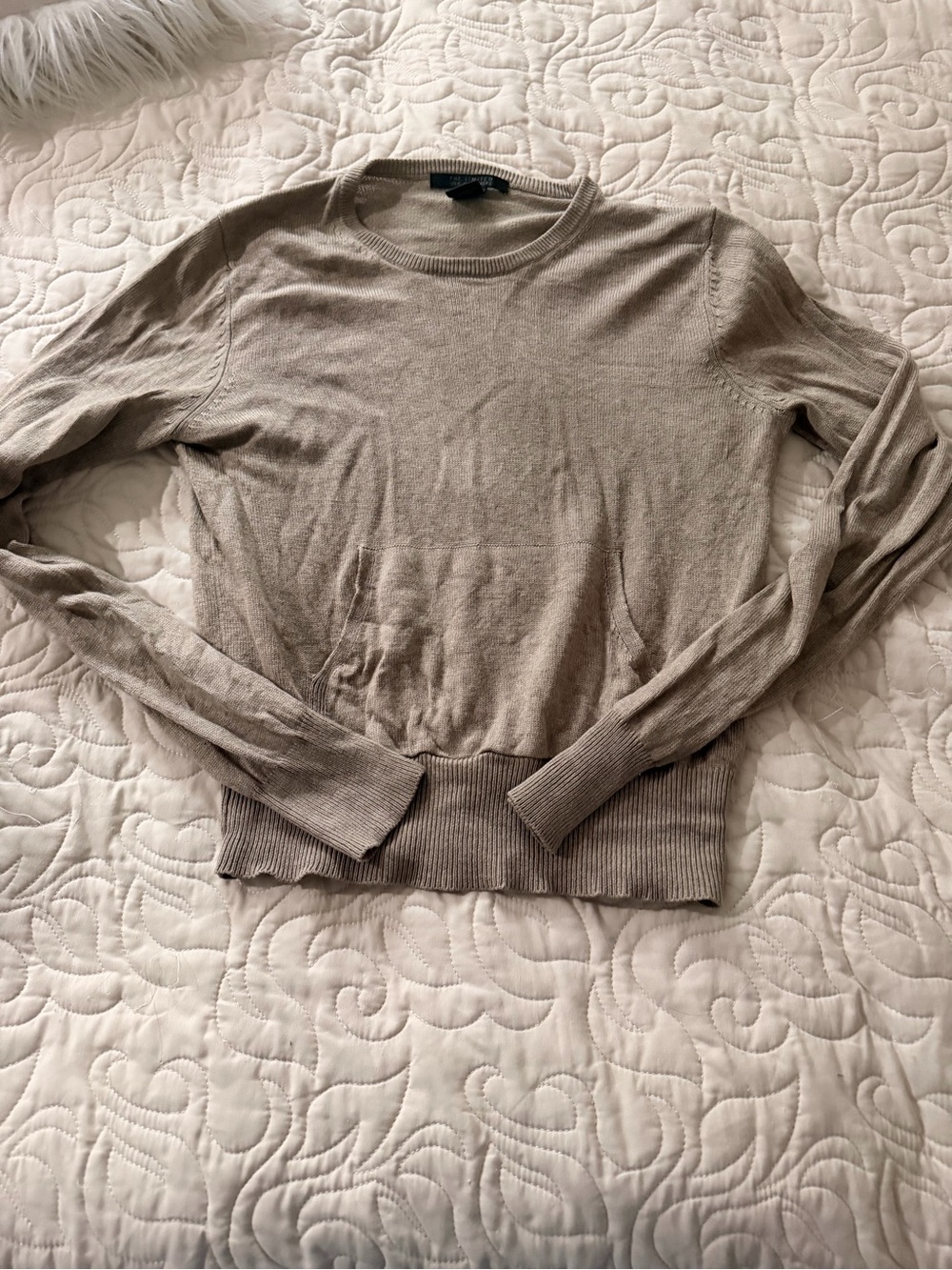 The Limited Silk Cashmere Crewneck Sweater with front pocket Size M